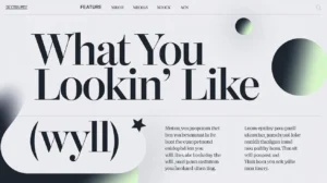 Read more about the article WYLL Meaning: Texting, Snapchat, Slang, and Online Chat Explained