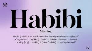 Read more about the article Habibi Meaning: A Complete Guide to the Beloved Arabic Word