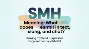 Read more about the article SMH Meaning: What Does SMH Mean in Text, Slang, and Chat?