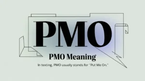 Read more about the article PMO Meaning: What It Means in Text, TikTok, Snapchat & Business